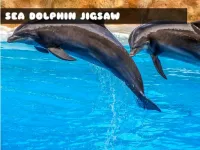 Sea Dolphin Jigsaw image