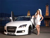 Miss Tuning - Show Girls Puzzle image