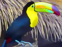 Toucan Bird Jigsaw image