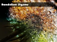 Dandelion Jigsaw image