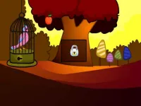 Pink Bird Rescue image