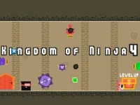 Kingdom of Ninja 4 image