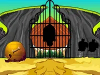 Skull Gate Escape image