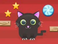 Cut For Cat image