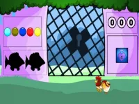 Hen Family Rescue Series 3 image