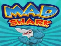 Requin image