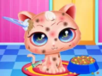 Cute Kitty Care - Pet Makeover image