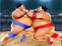 Sumo image