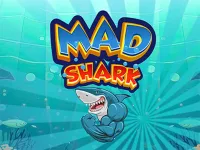 Mad Shark Fish image