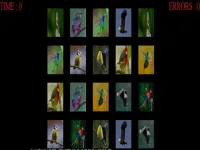 memorize the birds image