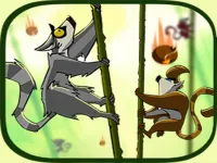 Monkeys image