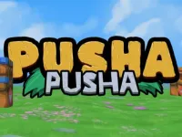 Pusha Pusha