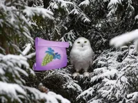 Winter Wonderland Forest Adventure image
