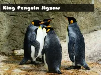 King Penguin Jigsaw image