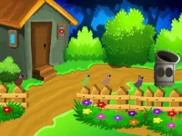 Colourful Garden Escape image