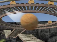 Roller 1 image