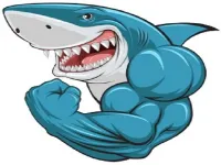 Mads Shark image