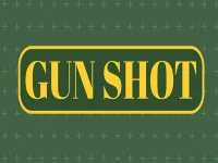Gun Shoot HD image