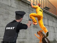 Prison Survive Break Escape image