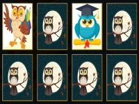 Cute Owl Memory image