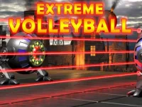 Extreme Volleyball image