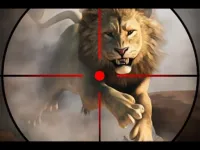 wild life hunting image