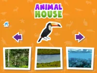 Animal  House game image