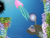 Jelly Sea image