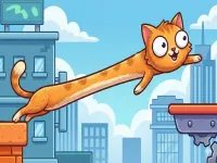 CatStretch