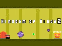 Kingdom of Ninja 2 image