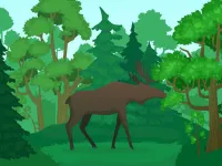 Wild Animals Coloring image