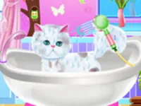 Pet Groomer image