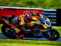 Motorcycle Racers image