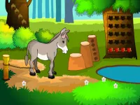 Donkey Rescue image