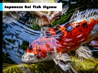 Japanese Koi Fish Jigsaw image
