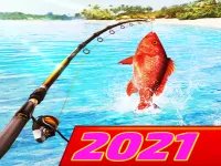 Marina Sea Fishing Master image