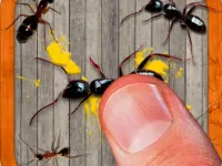 smash the insectt image