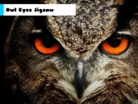 Owl Eyes Jigsaw image