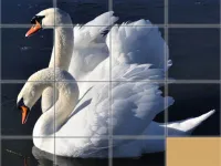 Animals Slide Puzzle image