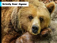 Grizzly Bear Jigsaw image