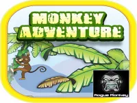 monkey care image