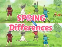 Spring Differences image