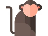 Memorized! image