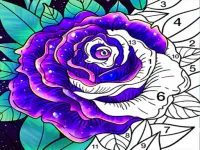 Coloring Book Color by Number image