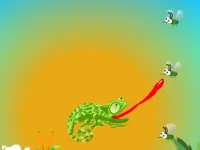 Chameleon Want Eat image