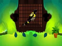 Love Bird Rescue image