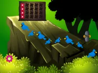 Reticent Forest Escape image