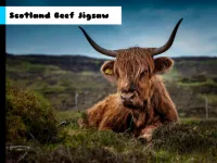 Scotland Beef Jigsaw image