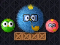 Where's my ruffled bird? image