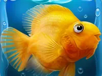 Fish tank Aquarium image